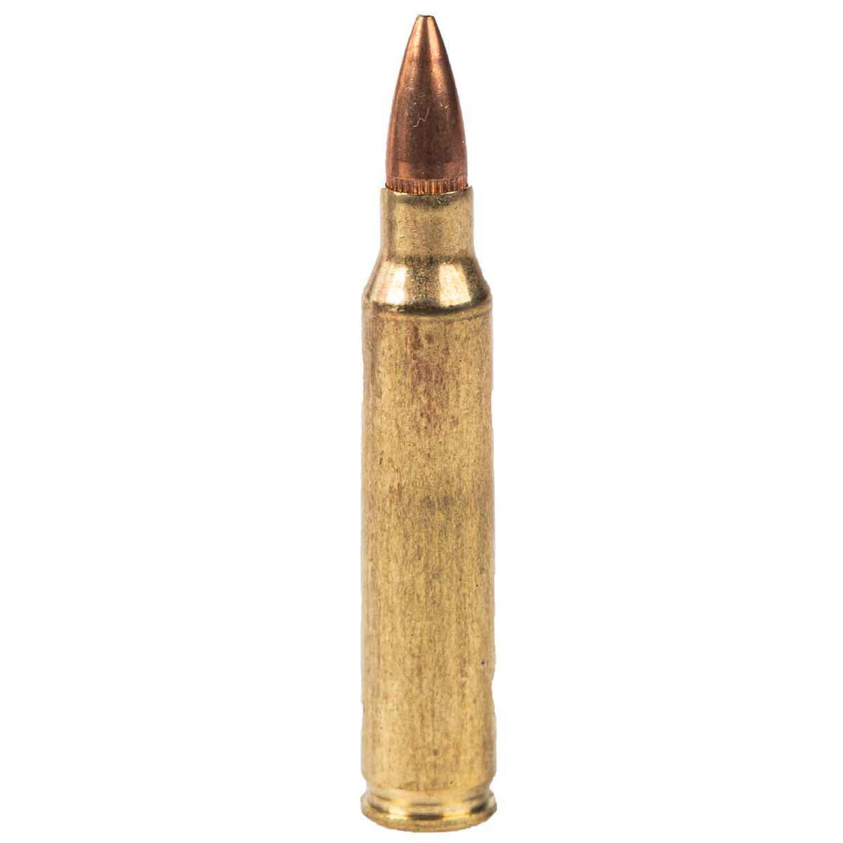 Federal American Eagle 223 Remington 55gr FMJ Rifle Ammo - 100 Rounds Federal American Eagle 223 Remington 55gr FMJ Rifle Ammo - 100 Rounds