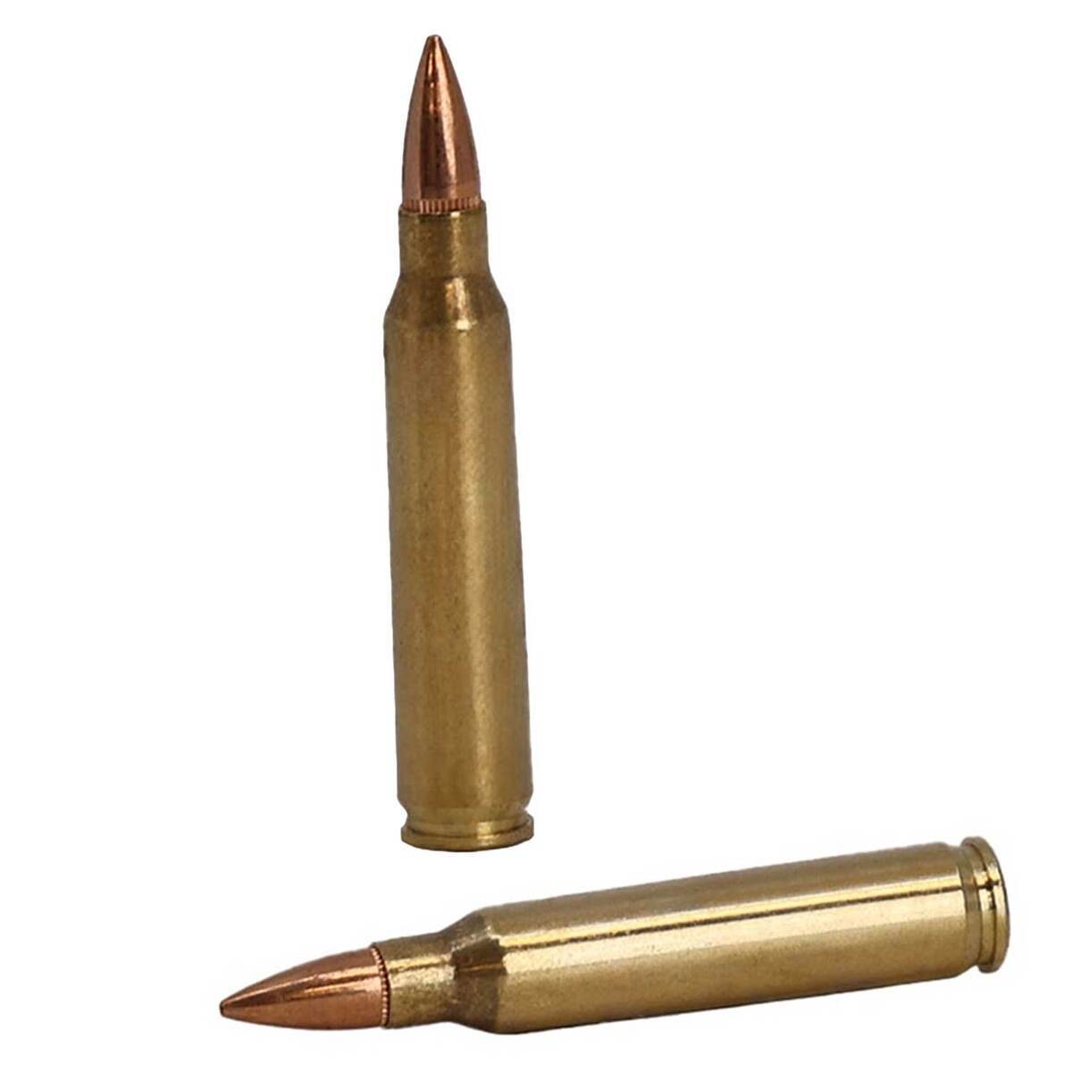 223 Training Rounds Federal Training 223 Remington 55gr FMJ Rifle Ammo - 500 Rounds ...