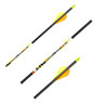 FeraDyne D-Stroyer SD 350 Spine Carbon Arrows - 6 Pack