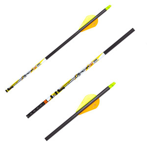 Carbon Express D-Stroyer SD Carbon Arrows - 6 Pack