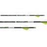 FeraDyne PileDriver DS Hunter 250 Crossbow Bolt - 6 Pack - Green 250