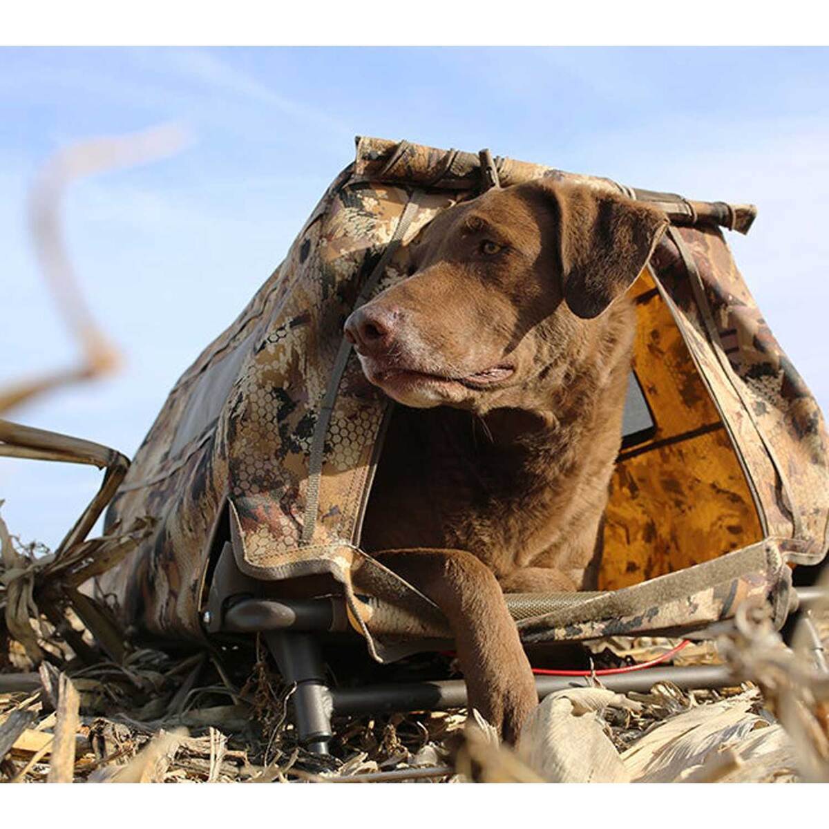 MOmarsh Field House LP Optifade Dog Blind MOmarsh Field House LP Optifade Dog Blind
