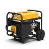 FIRMAN P06701 8350/6700 Watts Portable Gas Generator - 49 State - Yellow