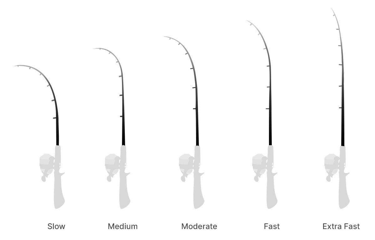 Fishing Rod Action illustration