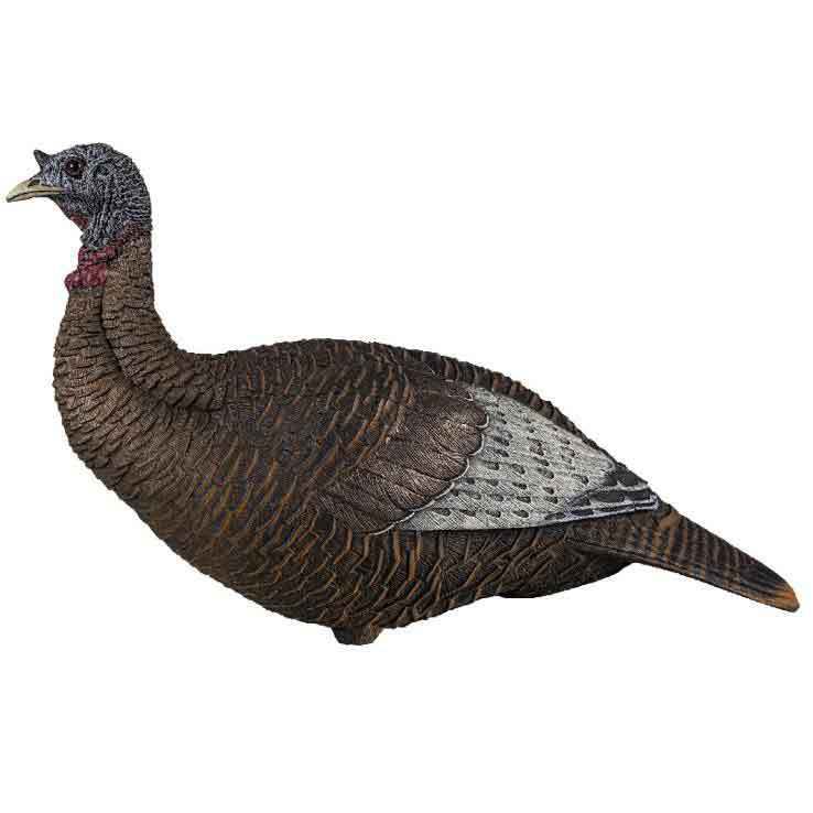 Flextone Thunder Chick Feeder Upright Turkey Decoy Flextone Thunder Chick Feeder Upright Turkey Decoy