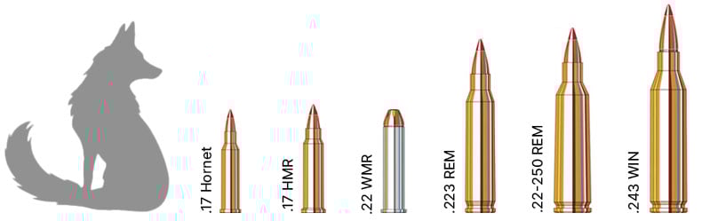 Hunting Caliber Chart | Sportsman's Warehouse