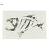 G Loomis Small Boat Decal