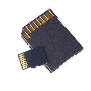 Garmin HuntView Plus v2021 Map Preloaded MicroSD Card