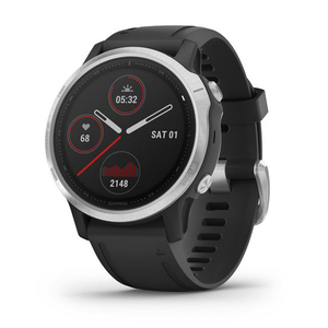Garmin fenix 6S GPS Watch