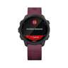 Garmin Forerunner 245 GPS Watch - Berry - Berry