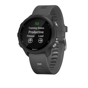 Garmin Forerunner 245 GPS Watch - Slate Gray