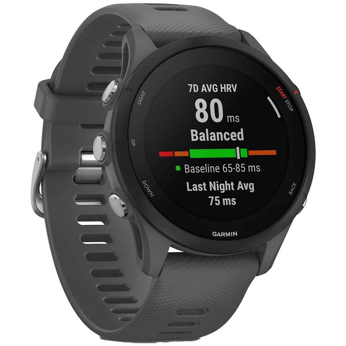 Garmin Forerunner 255 GPS Watch | Sportsman's Warehouse