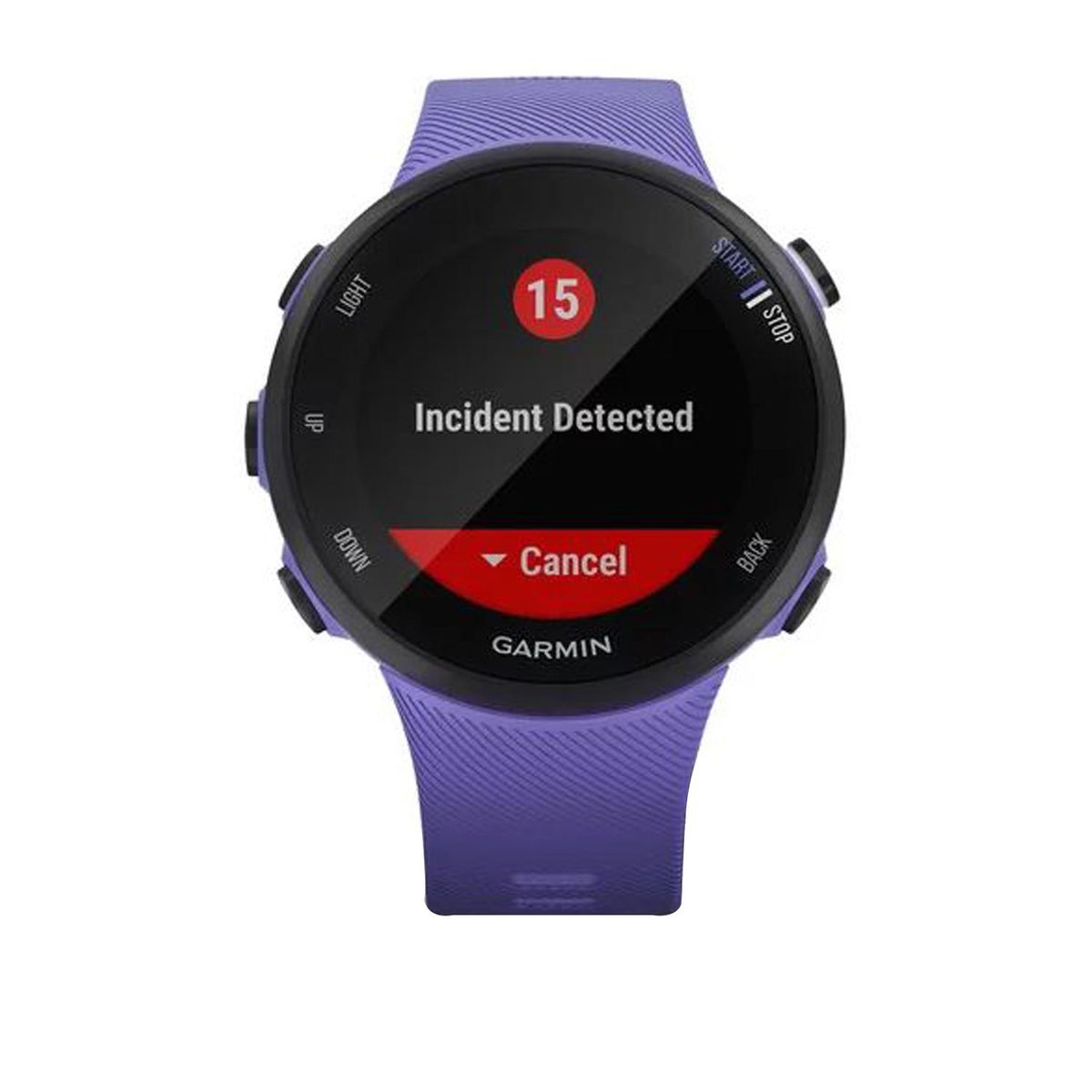 Garmin Forerunner 45 GPS Watch - Iris - Iris Garmin Forerunner 45 GPS Watch - Iris - Iris