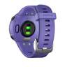 Garmin Forerunner 45 GPS Watch - Iris - Iris