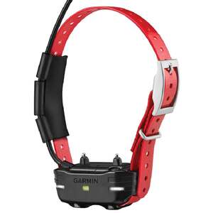 Garmin TB 10 Dog Device Electronic Training Collar