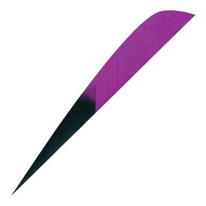 Gateway Feathers Parabolic 4in Kuro Purple Feathers - 50 Pack