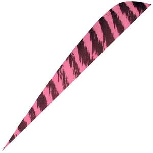Gateway Feathers Parabolic Barred Flo Pink 4in Feathers - 50 Pack