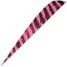 Gateway Feathers Parabolic Barred Flo Pink 4in Feathers - 50 Pack - Pink 4in