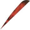 Gateway Feathers Parabolic Tre-Red 4in Right Wing Feathers - 100 Pack - Red 4in