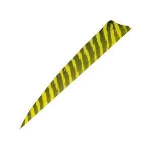 Gateway Feathers Shield Cut 4in Barred Yellow Feathers - 50 Pack