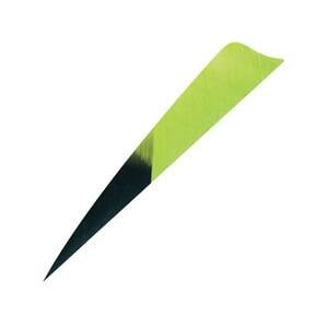 Gateway Feathers Shield Cut 4in Kuro Chartreuse Feathers - 50 Pack