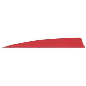 Gateway Feathers Shield Cut 5in Red Feathers - 50 Pack