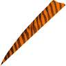 Gateway Feathers Shield Cut Barred Orange 4in Right Wing Feathers - 100 Pack - Orange 4in