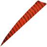 Gateway Feathers Shield Cut Barred Red 4in Right Wing Feathers - 100 Pack - Red 4in