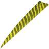 Gateway Feathers Shield Cut Barred Yellow 4in Right Wing Feathers - 100 Pack - Yellow 4in