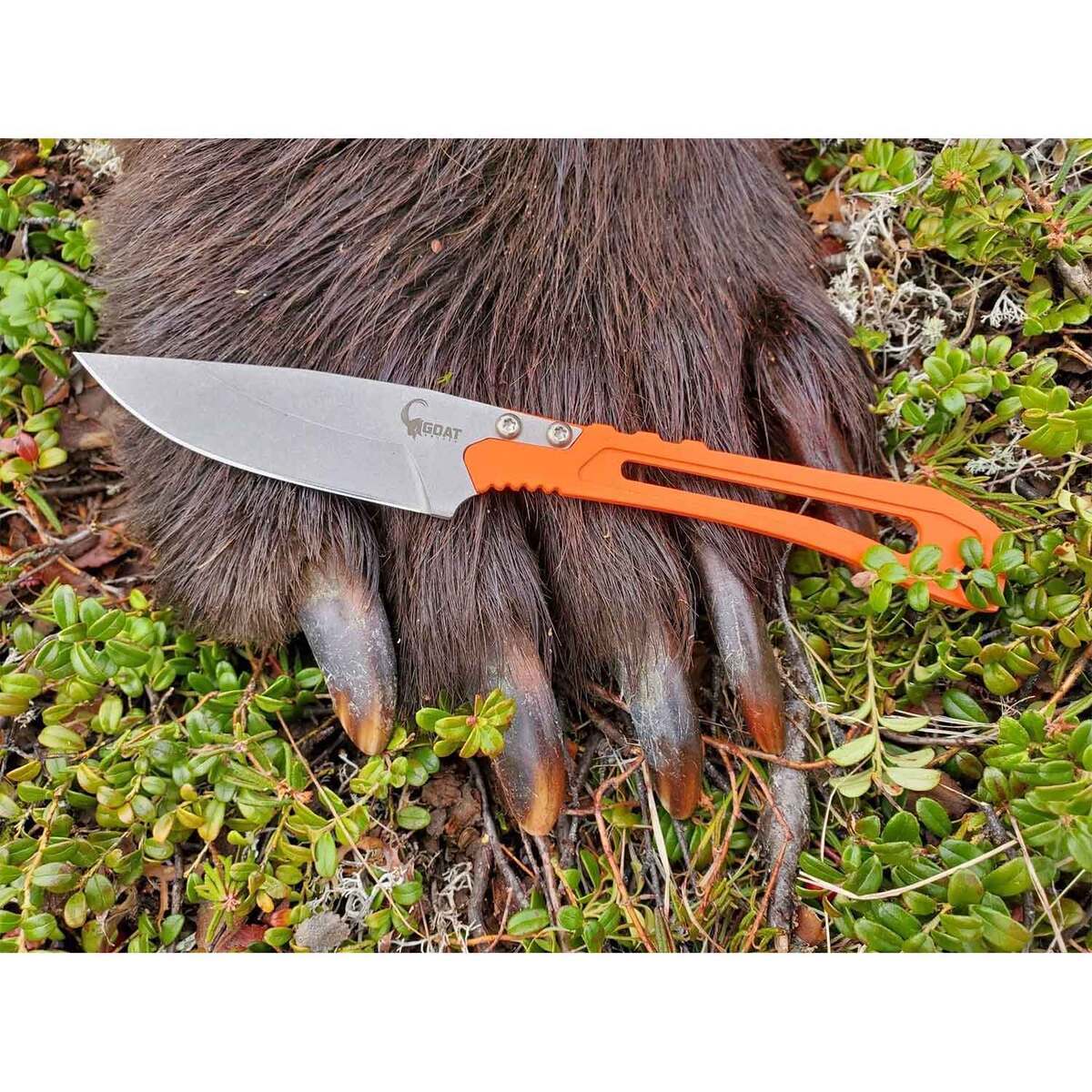 Goat Knives TUR Skeleton Pro Fixed Blade Knife - Caprid Orange Goat Knives TUR Skeleton Pro Fixed Blade Knife - Caprid Orange