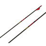 Gold Tip Hunter 340 Spine Carbon Arrows - 6 Pack - Black