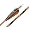 Gold Tip Traditional Carbon Arrows - Wood