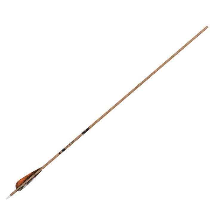 gold-tip-traditional-carbon-arrows-sportsman-s-warehouse