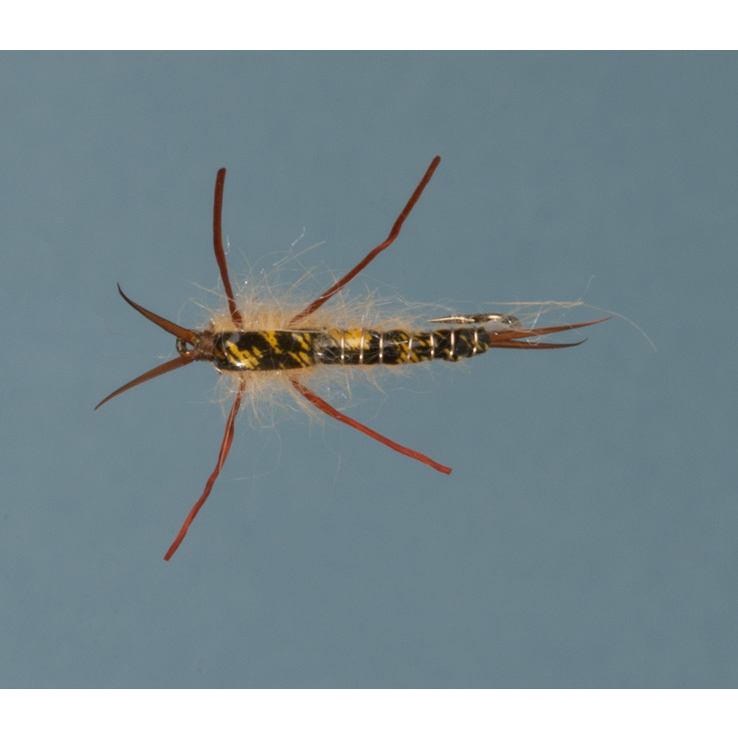 RoundRocks Golden Stone Nymph Fly - Size 8, 12Pk - Golden 8 RoundRocks Golden Stone Nymph Fly - Size 8, 12Pk - Golden 8