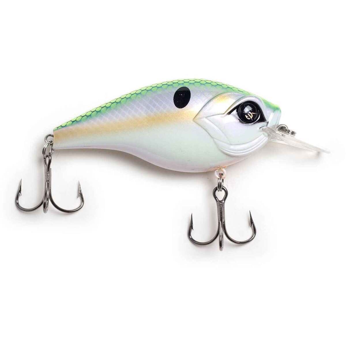 Googan Squad Square Bill Grande Banger Shallow Diving Crankbait Googan Squad Square Bill Grande Banger Shallow Diving Crankbait