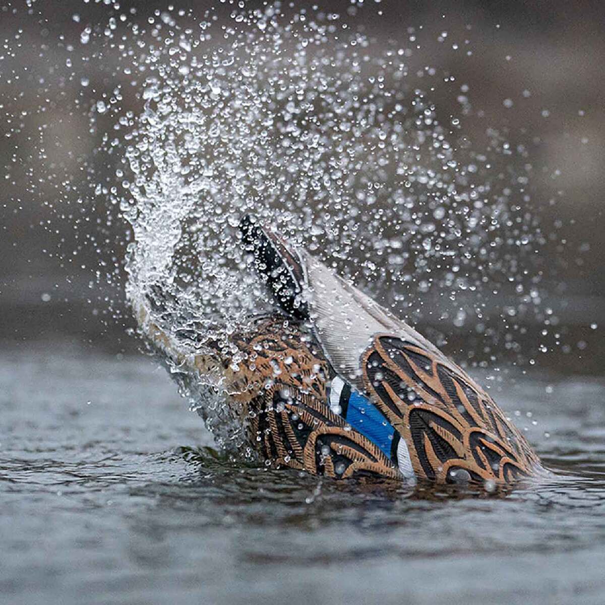 Greenhead Gear Finisher Spitter Mallard Hen Motion Decoy Greenhead Gear Finisher Spitter Mallard Hen Motion Decoy