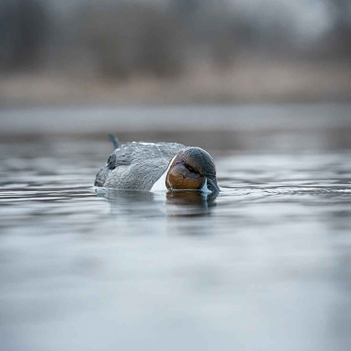 Greenhead Gear Finisher Swimmer Pintail Drake Motion Decoy Greenhead Gear Finisher Swimmer Pintail Drake Motion Decoy