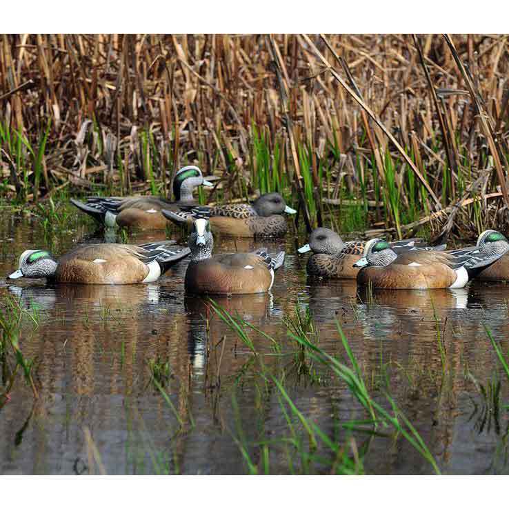 Greenhead Gear Pro Grade Life Size Wigeon Duck Decoys Greenhead Gear Pro Grade Life Size Wigeon Duck Decoys