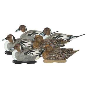 Greenhead Gear Pro-Grade XD Series Harvester Pack Pintail Duck Decoy - 6 Pack