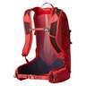 Gregory Men's Miko 15 Liter Day Pack - Sumac Red - Sumac Red One Size