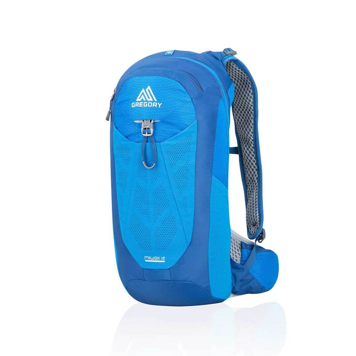 Gregory Miwok Men's 12 Liter Day Pack Reflex Blue Sportsman's