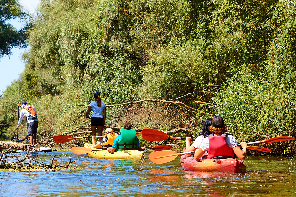 Group of kayakers