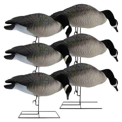Hardcore Rugged Canada Goose Decoy – 6 Pack