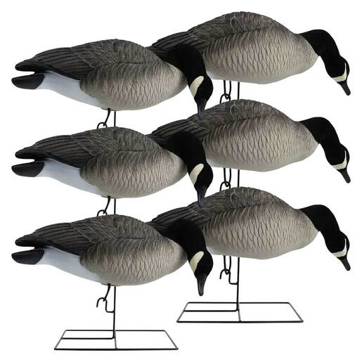 Hardcore Rugged Canada Goose Decoys – 6 Pack