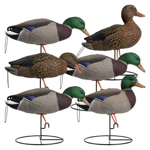 Hardcore Rugged Series Mallard Decoys – 6 Pack