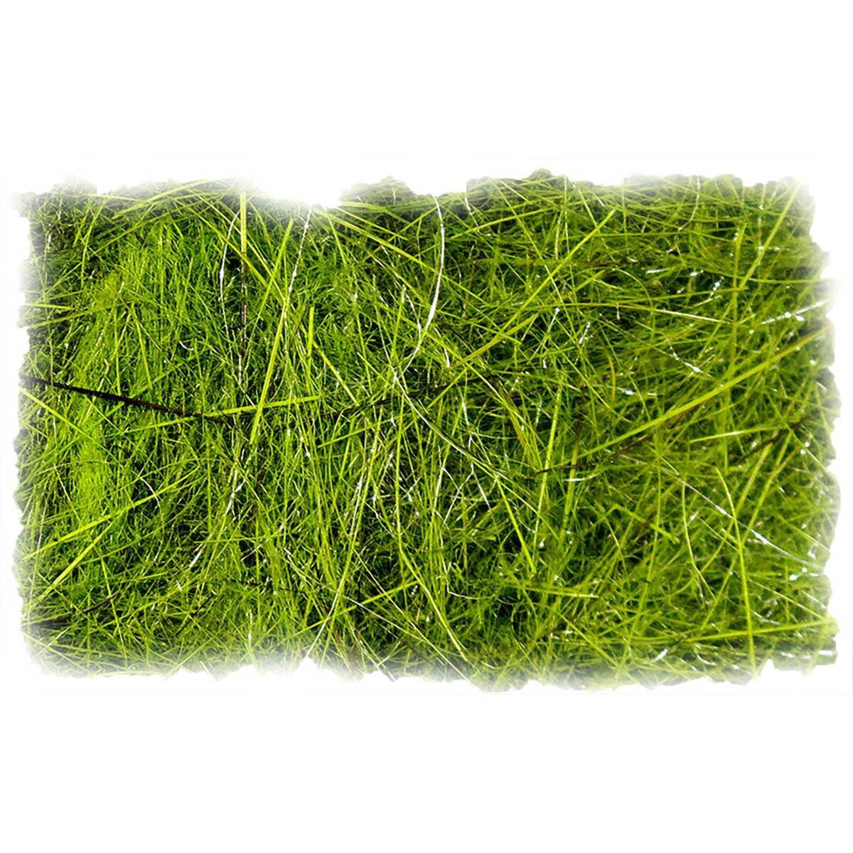 Hareline Dubbin Hare's Ear Plus Dubbing Hareline Dubbin Hare's Ear Plus Dubbing