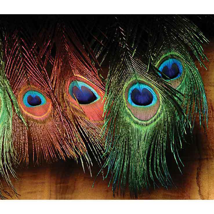 Hareline Dubbin Peacock Eyed Sticks - Red 11 Hareline Dubbin Peacock Eyed Sticks - Red 11