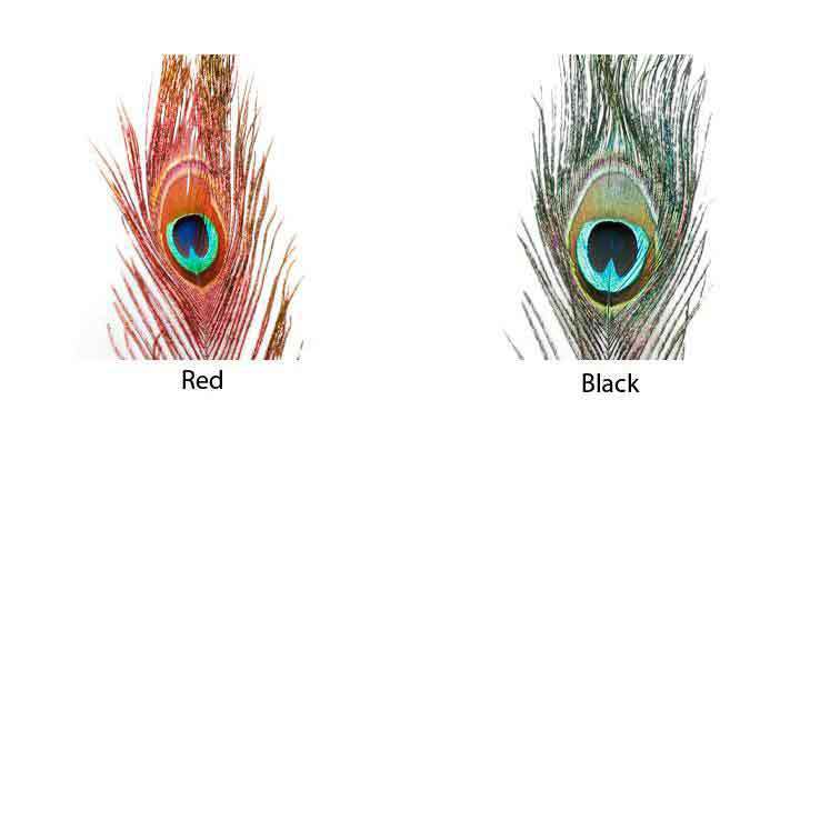 Hareline Dubbin Peacock Eyed Sticks - Red 11 Hareline Dubbin Peacock Eyed Sticks - Red 11
