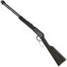 Henry Garden Gun Smoothbore Black Lever Action Rifle - 22 Long Rifle