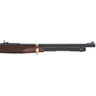 Henry Side Gate Lever Action Blued/Walnut 410ga 2-1/2in Lever Action Shotgun - 19.8in - Brass/Wood/Black